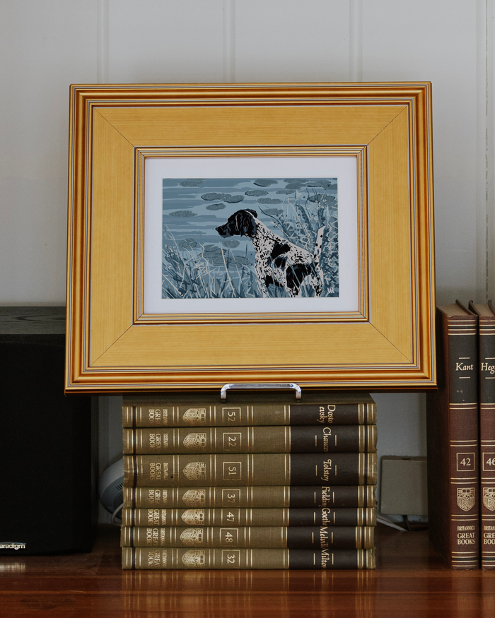 Light Blue Monochromoatic German Shorthair at Pond
