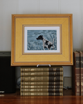 Light Blue Monochromoatic German Shorthair at Pond