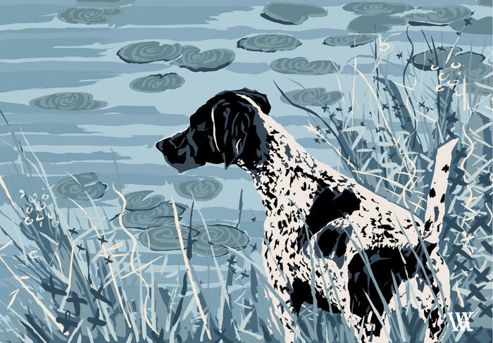Light Blue Monochromoatic German Shorthair at Pond