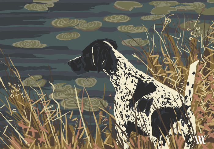Navy German Shorthair at Pond