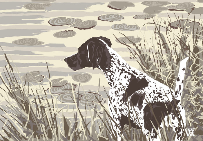 Neutral German Shorthair at Pond