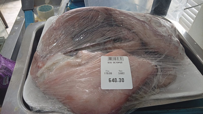 NEW - BIG WHOLE OCTOPUS