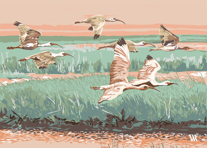 Peach Marsh Flyer