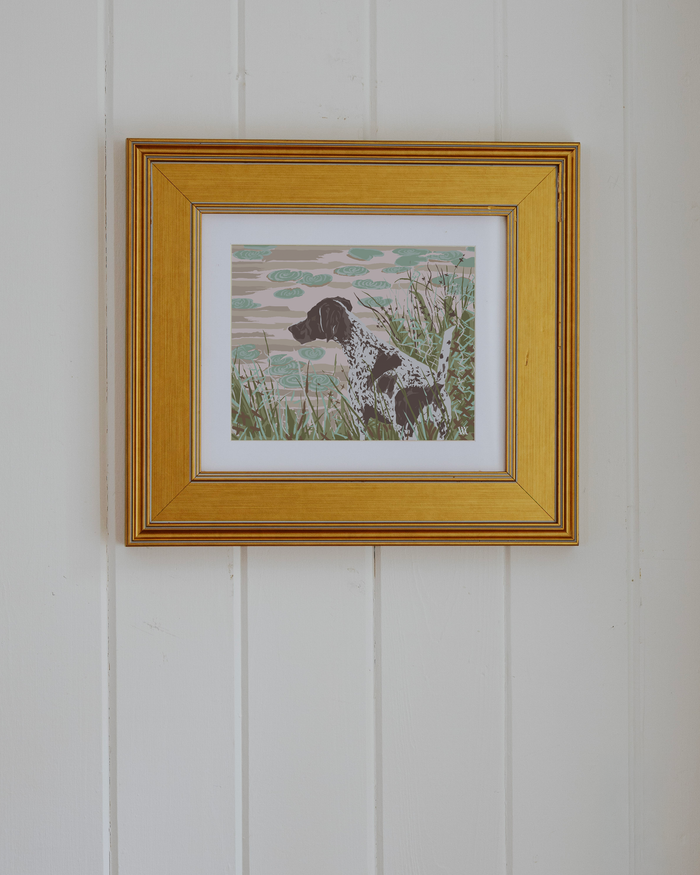 Pink German Shorthair at Pond