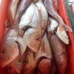 PROMO*  DEEP SEA FROZEN SILVERS  1kg