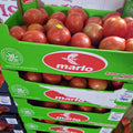 PROMO JAM TOMATOES -+5KG BOX