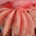 PROMO * "White steenbrass" SLICES 1KG