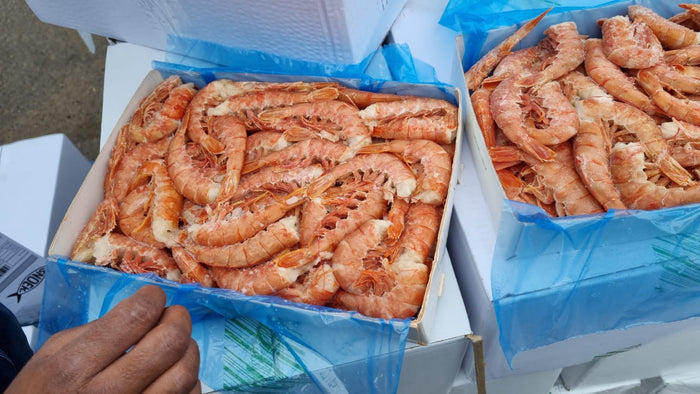 QUEEN/KING  MIX PRAWN TAILS  MIX- 2KG