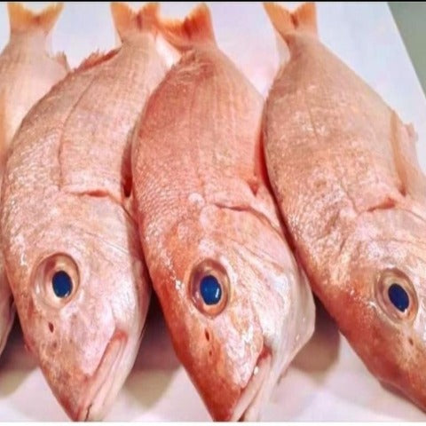 RED FISH - FISH -VALUE PACK WITH HEAD 1.5 kg CAUGHT & FROZEN AT SEA