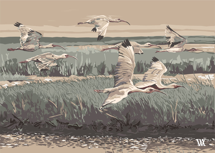 Sand Marsh Flyer