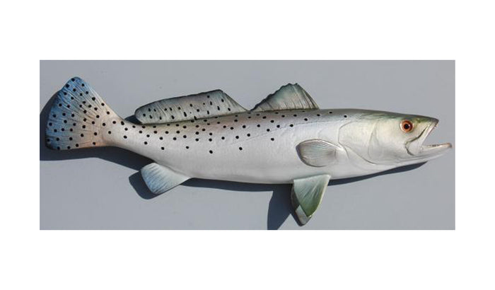 SEATROUT, MINIATURE