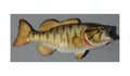 SMALLMOUTH BASS, MINIATURE