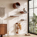 Solid Wood Cat Wall Shelves Set, 5-in-1 Cat Wall Furniture Cat Perches Set for Living Room