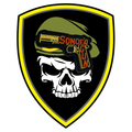 SONOFA Gun Velcro Patch
