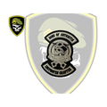 Sons Of Arthritis Velcro Patch