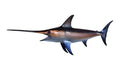 SWORDFISH, MINIATURE