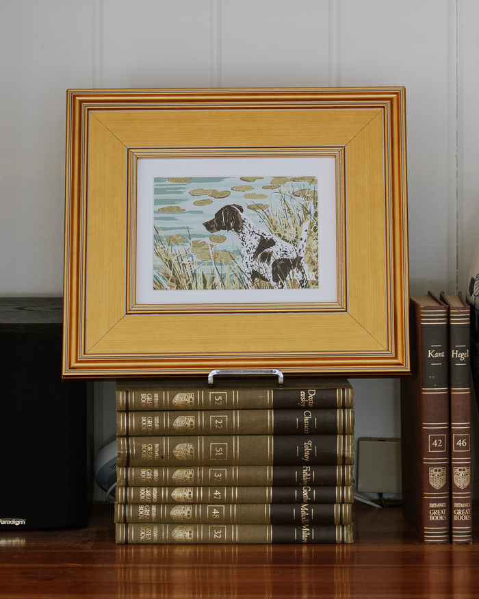 Teal German Shorthair at Pond