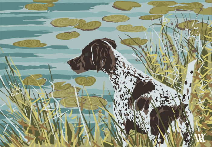 Teal German Shorthair at Pond