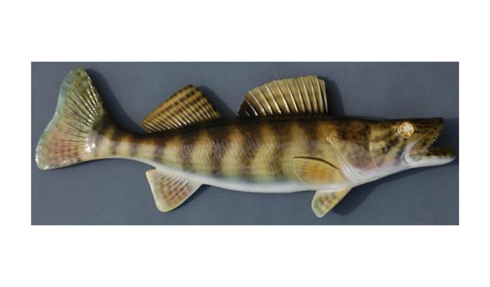 WALLEYE, MINIATURE