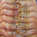 WHOLESALE 12KG BULK PACK -  KING PRAWNS HEAD ON