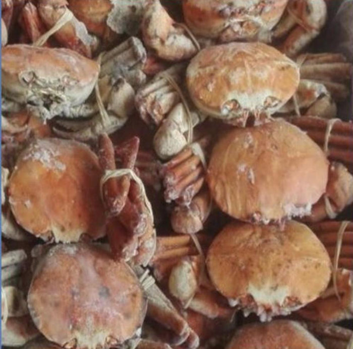 WHOLESALE MEDIUM ORANGE CRAB 10KG UNCLEAN